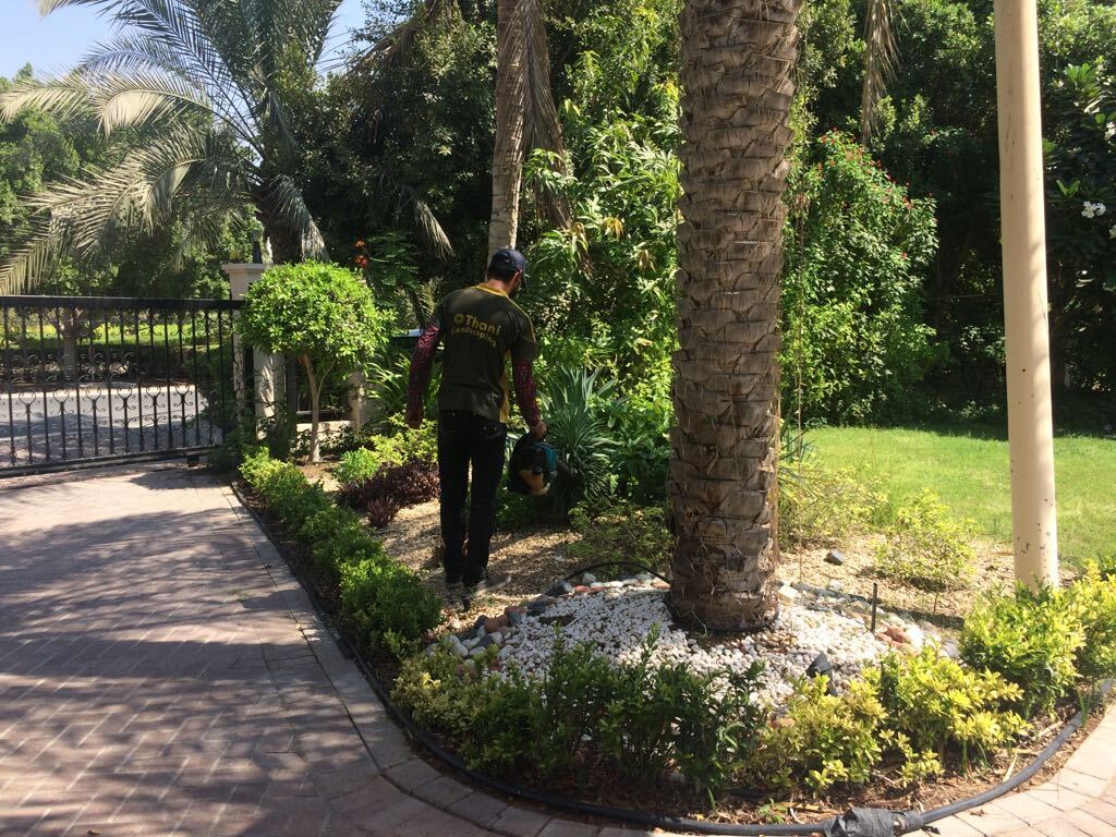 Garden Care in Progress