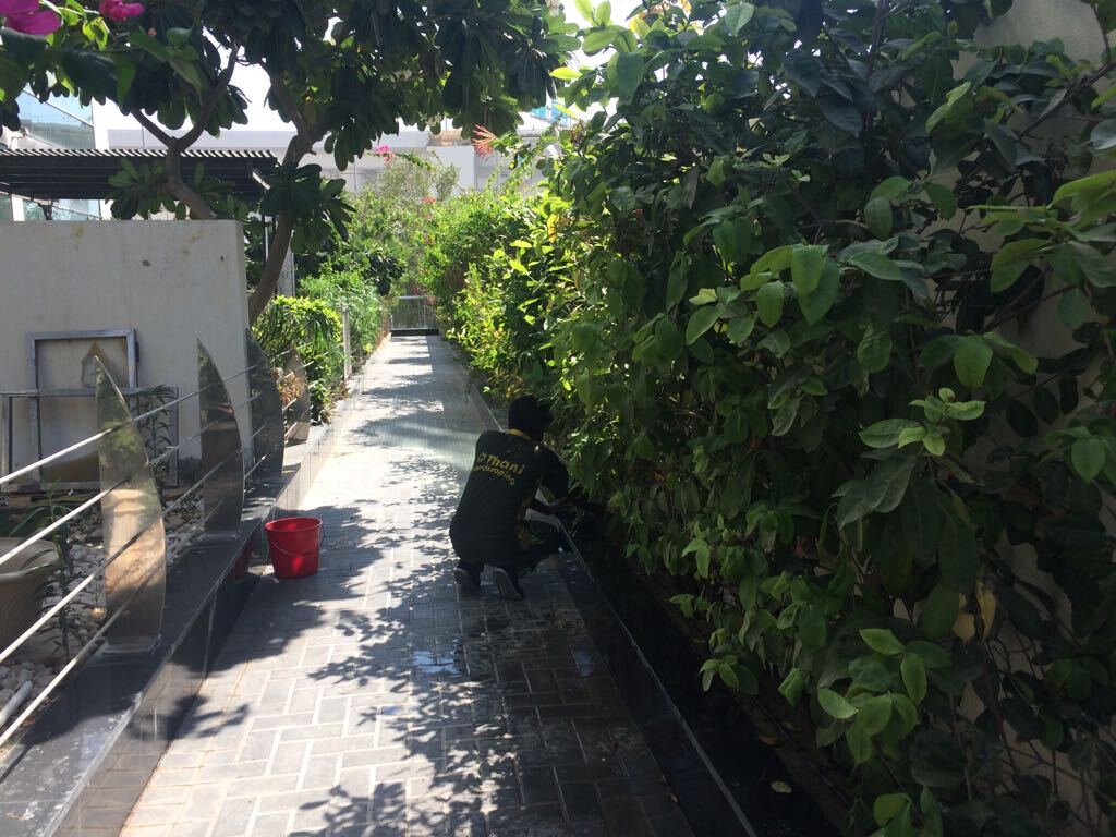Irrigation Systems service