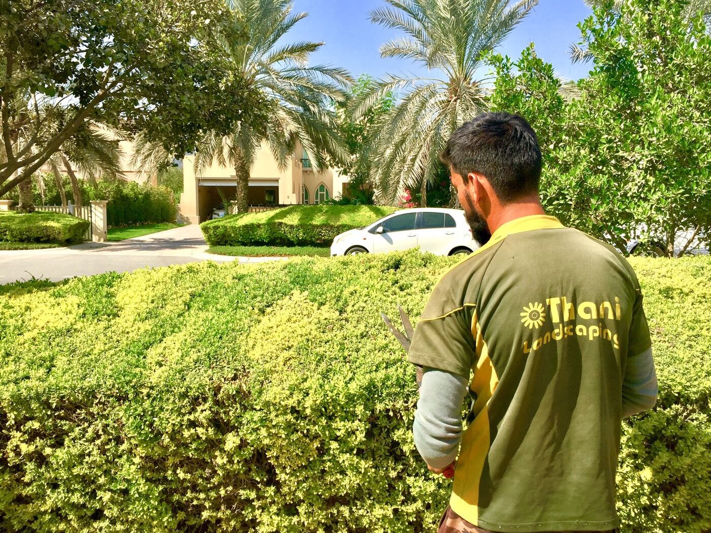 Garden Maintenance service