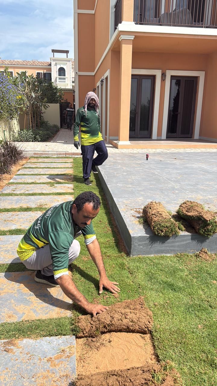 Fresh Turf Installation